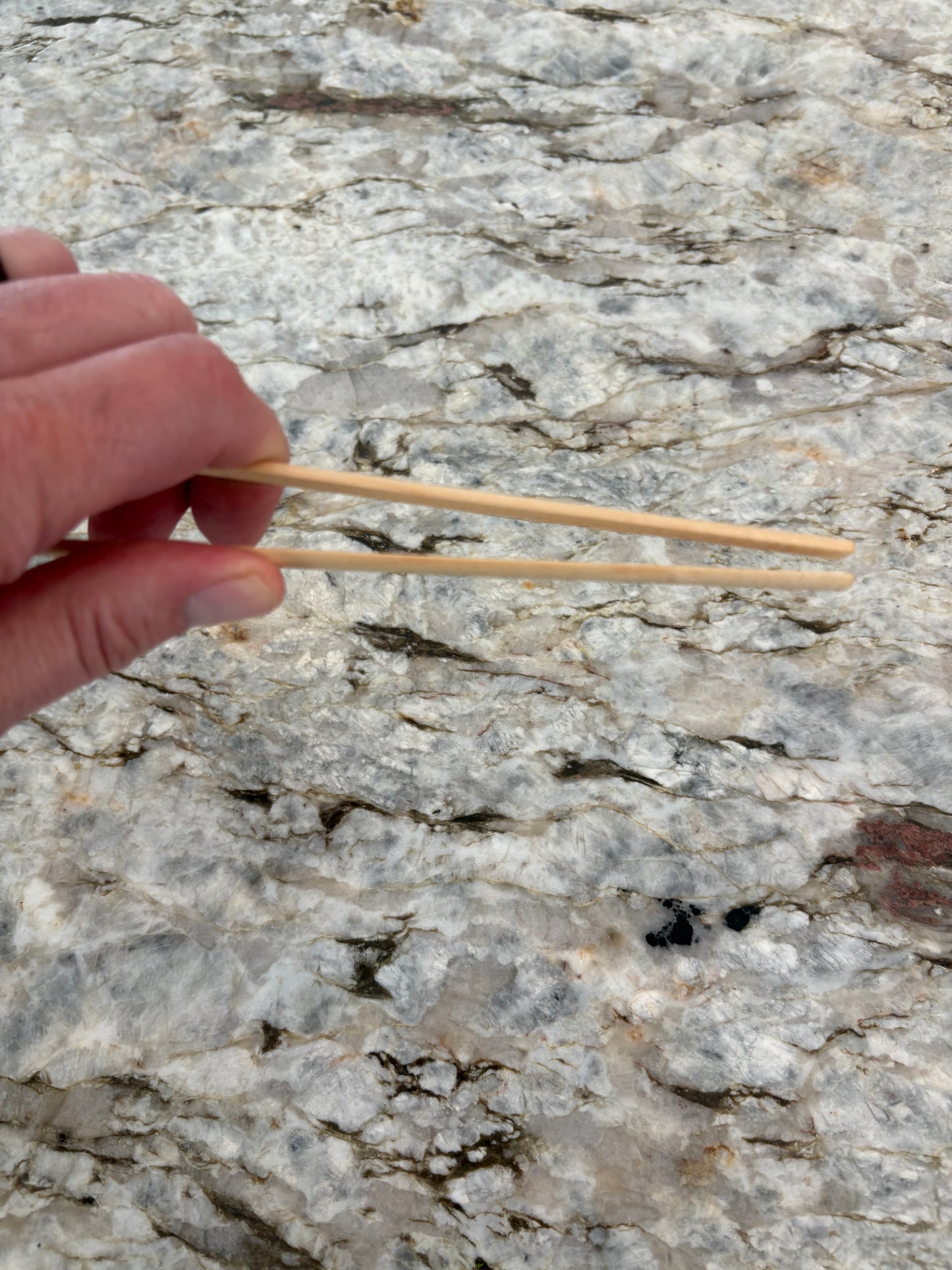 Hardwood toaster tongs